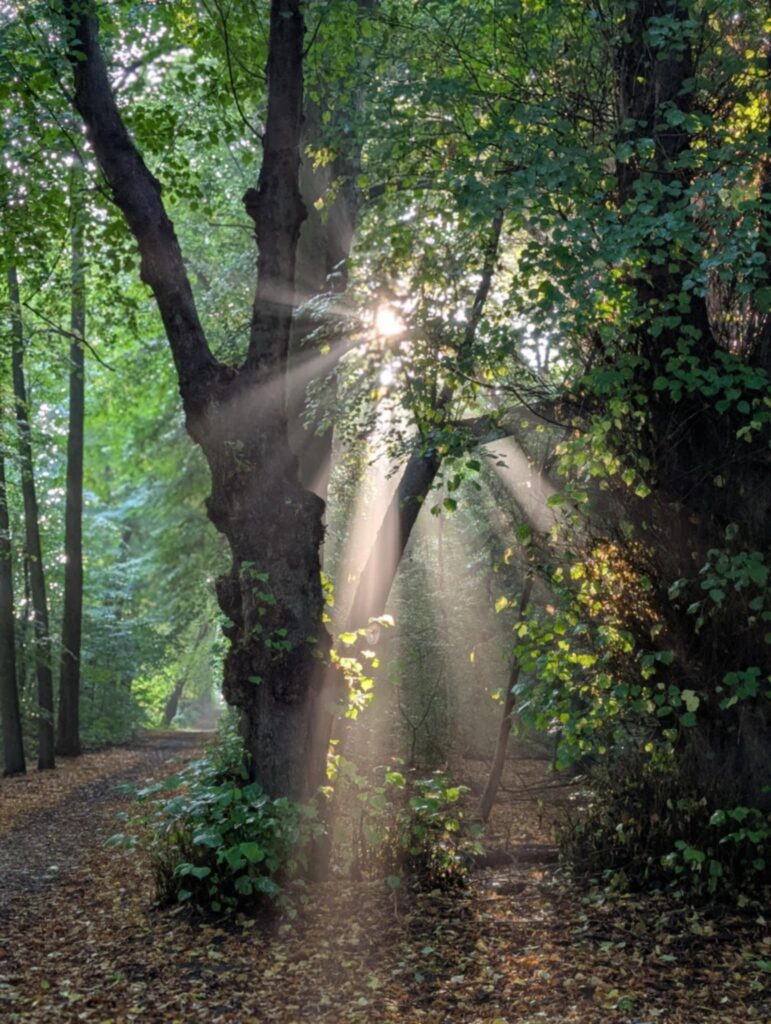 Frihed i naturen